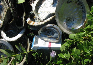 Perlemoendop: Nie net ou asbakkie